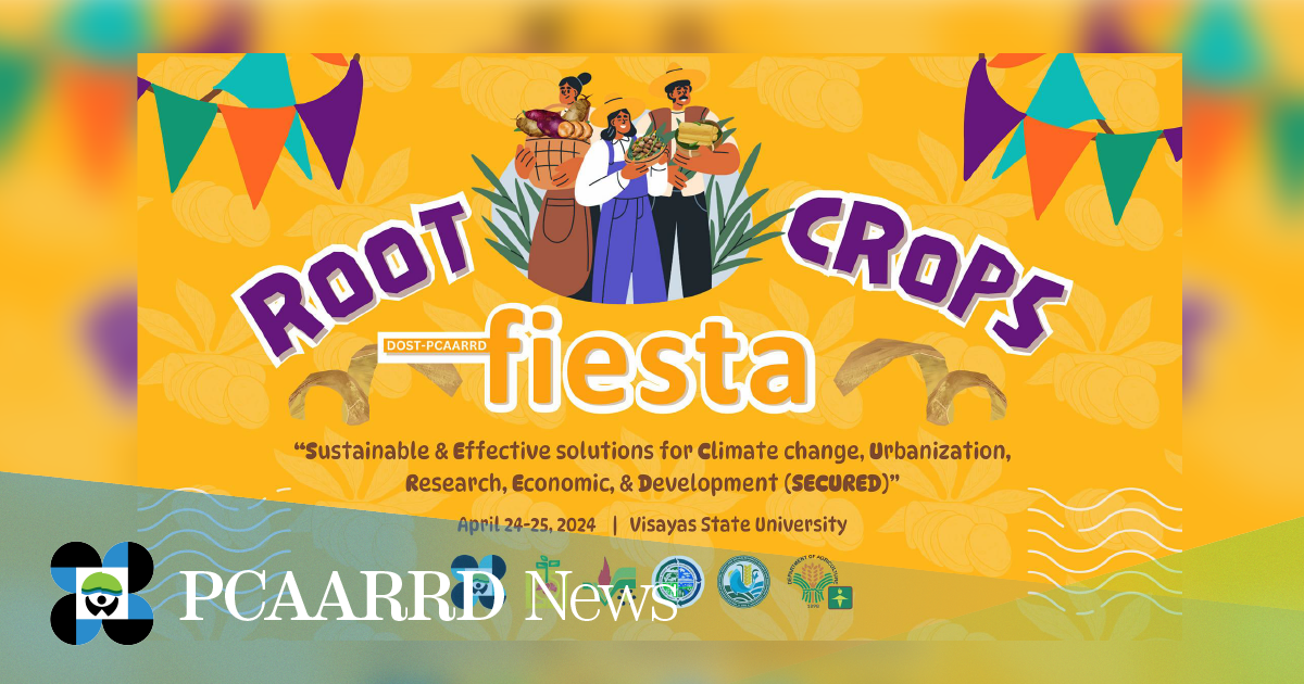 Visayas S&amp;T Institutes set the stage for Root Crops FIESTA 